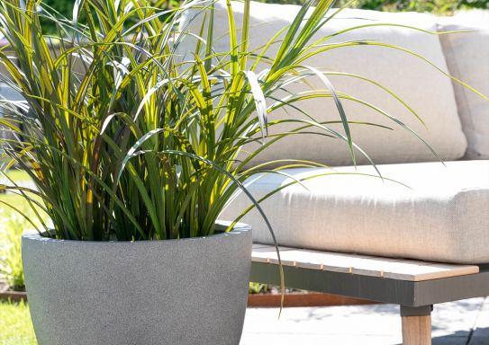 Grigio Egg Pot 50 - Natural Concrete - Plantruimte Ø44