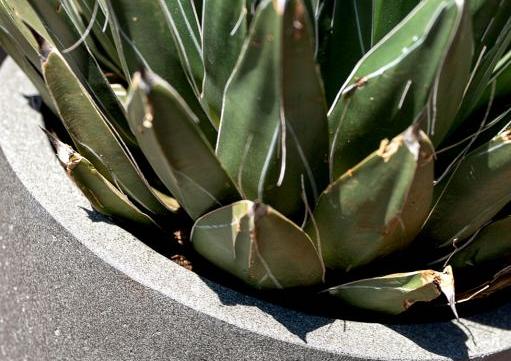 Grigio Egg Pot 50 - Natural Concrete - Plantruimte Ø44