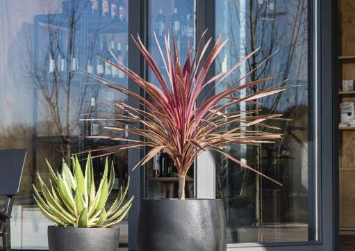 Grigio Egg Pot 60 - Anthracite - Plantruimte Ø53