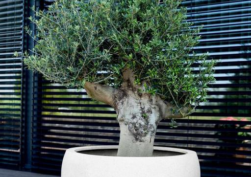 Grigio Elena 90 - Antique White - Plantruimte Ø73