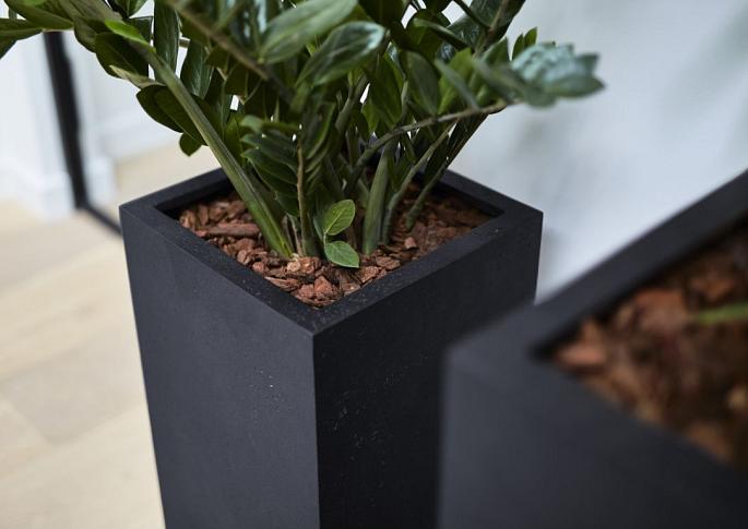 Grigio High Cube 80 - Anthracite - Plantruimte 24x24
