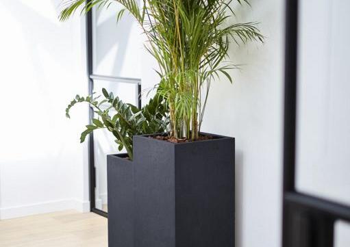 Grigio High Cube 80 - Anthracite - Plantruimte 24x24
