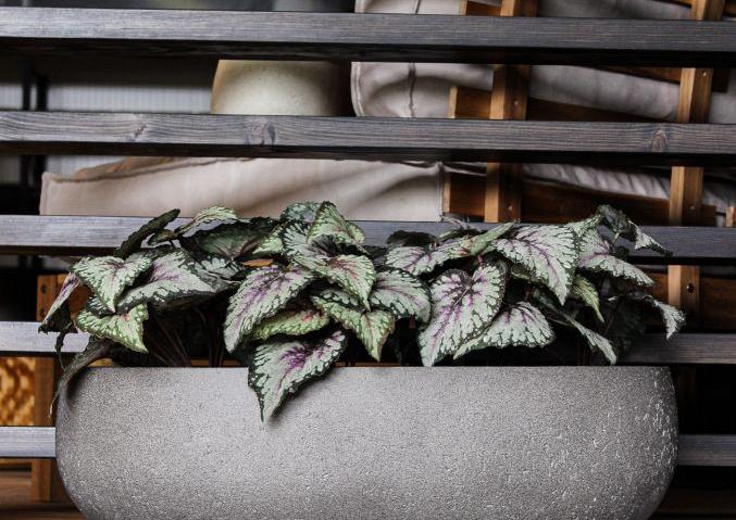 Grigio Longtail 65 - Natural Concrete - Plantruimte 58x25,5