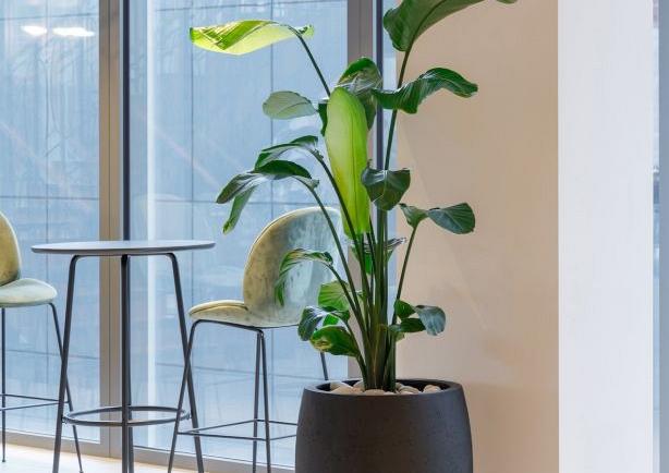 Grigio Tall Balloon 40 - Anthracite - Plantruimte Ø29