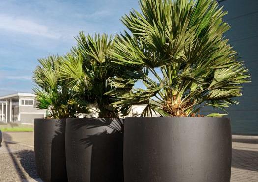 Grigio Tall Egg Pot 52 - Anthracite - Plantruimte Ø44