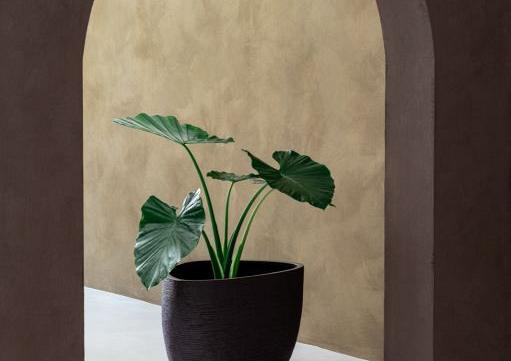 Ruvido Organic 80 - Ash Brown - Plantruimte Ø57