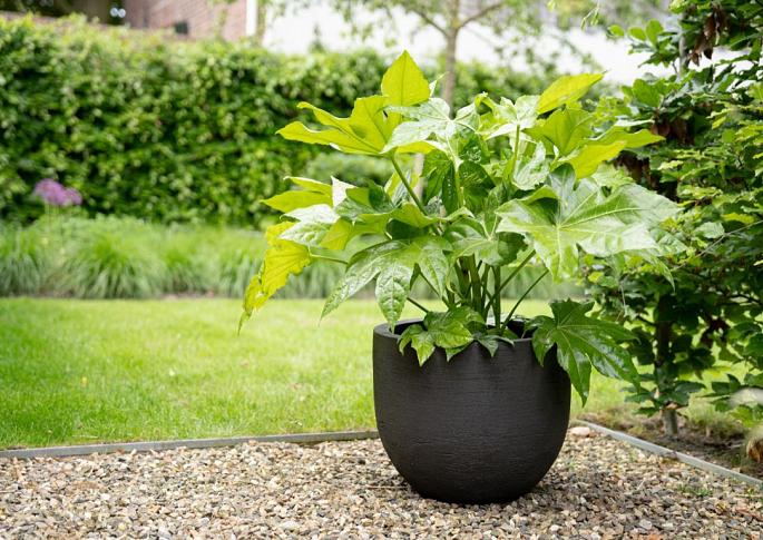 Terreno New Egg Pot 45 - Earth - Plantruimte Ø37