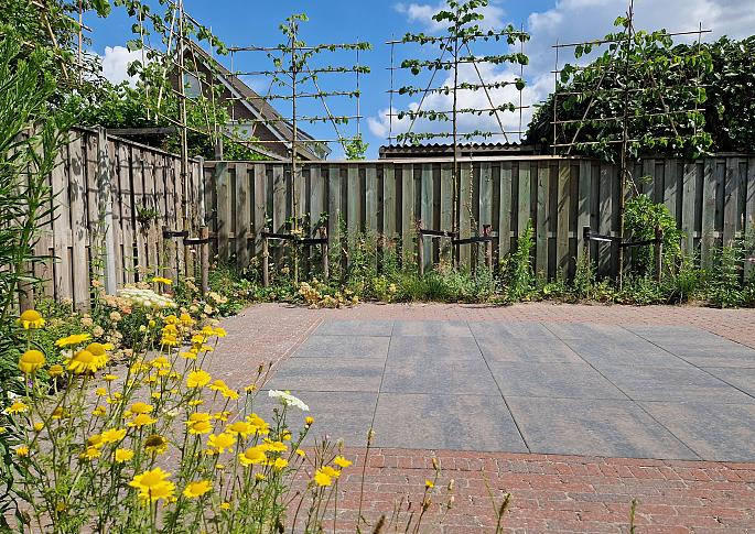 H20 Soft Dynamic Dornfelder 60x60x4 cm