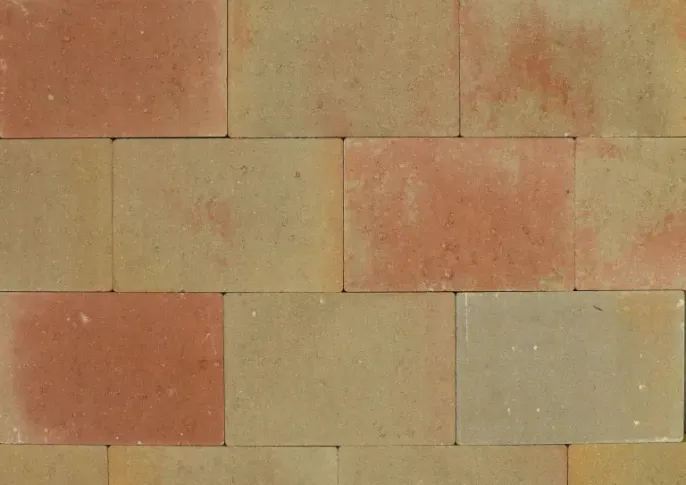 Vlaksteen 20x30x6 terrageel