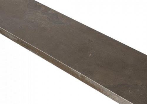 Siam Bluestone vijverrand 100x25x3 cm verzoet