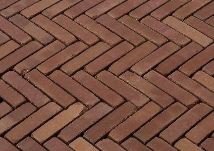DF60 Rosas Classica ROOD GENUANCEERD