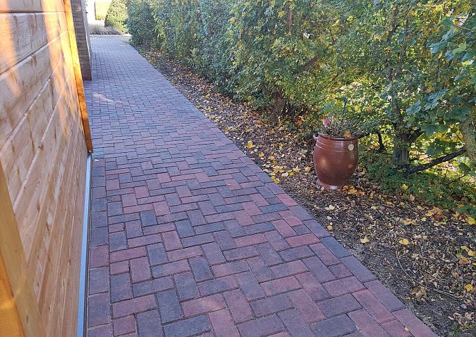 BSS Roosjespeer Komo 6cm