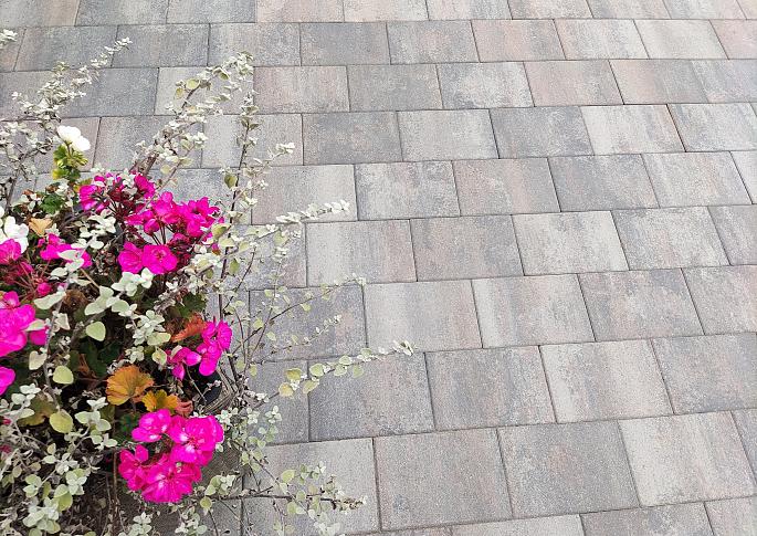 H20 Soft Dynamic Tintilla 20x30x6 cm