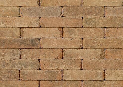 Tonique Rustiek waalformaat Kweepeer 20x5x7 cm