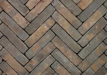 Oliva WS Getr. WF80 bruin blauw onbezand