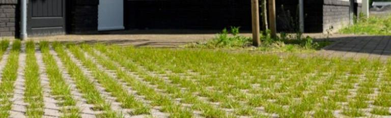 Grasbetontegels